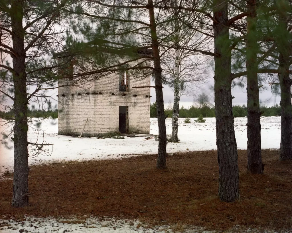 In this challenge, we’re putting your skills to the test. Somewhere in this image lurks a deadly sniper, perfectly concealed and watching every move.