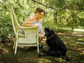 How Pet Care Became Big Business