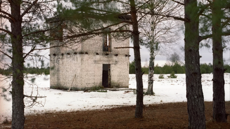You’re A Top Marksman If You Can Spot The Deadly Sniper Hiding In This Picture